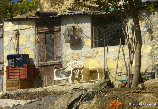 13-11-19-dipkarpaz-166