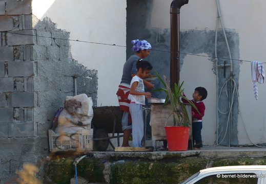 13-11-19-dipkarpaz-264