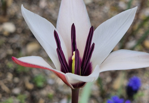 April