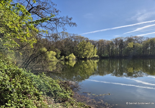 26-04-08-koenigswaldsee-085