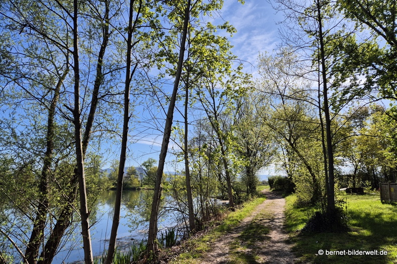 26-04-08-koenigswaldsee-091.JPG
