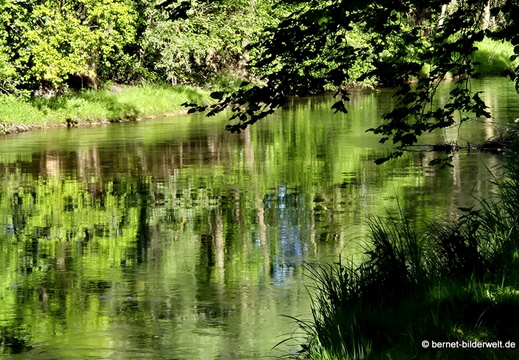 26-04-26-griesheim-am muehlbach-008