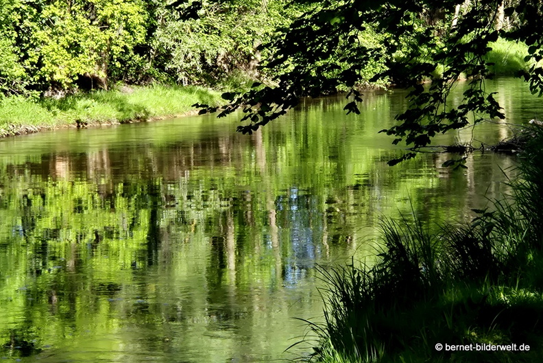 26-04-26-griesheim-am muehlbach-008.jpg