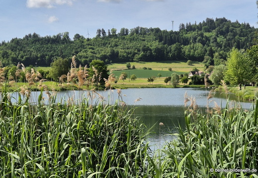 26-05-21-berghaupten-pappelwaldsee-004
