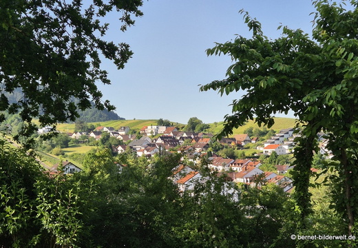26-05-24-burschel-006