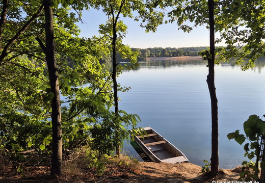 26-07-29-burgerwaldsee-010