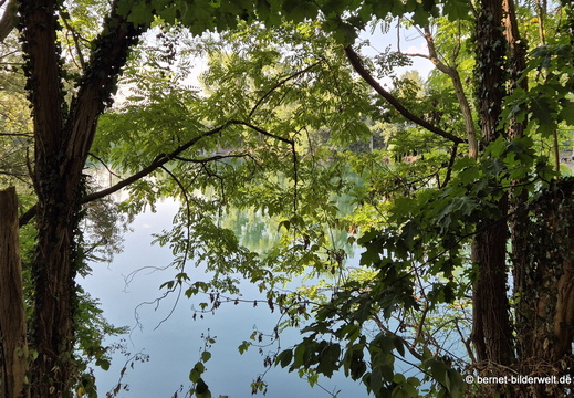 26-07-29-burgerwaldsee-019