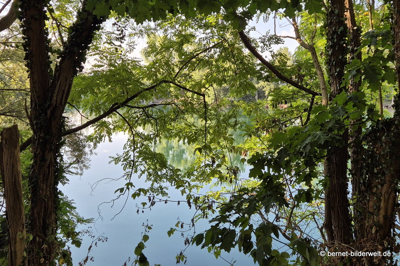 26-07-29-burgerwaldsee-019.jpg