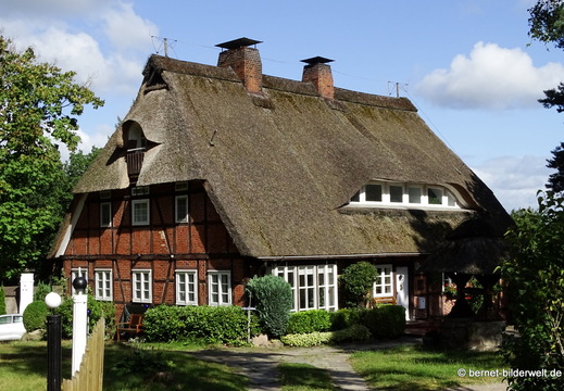26-08-11-schneverdingen-spaziergang zum schafstall-017