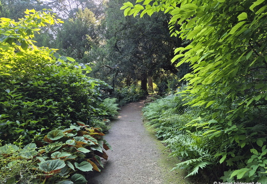 26-06-25-ms-botanischer garten-087