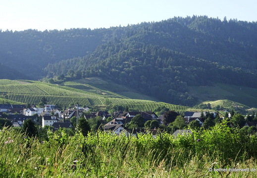 26-06-15-walther-blumenstock-strasse-002