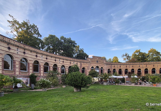 26-09-01-karlsruhe-botanischer garten-001