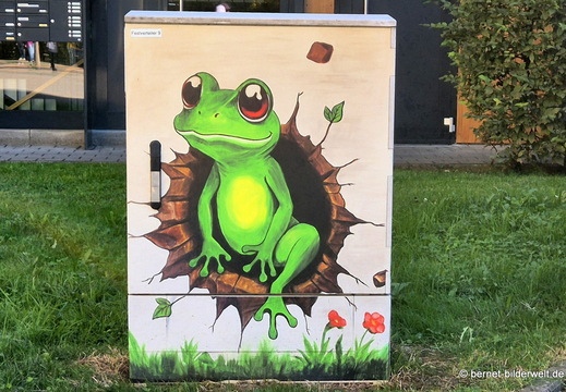 26-09-23-radolfzell-stromkasten-