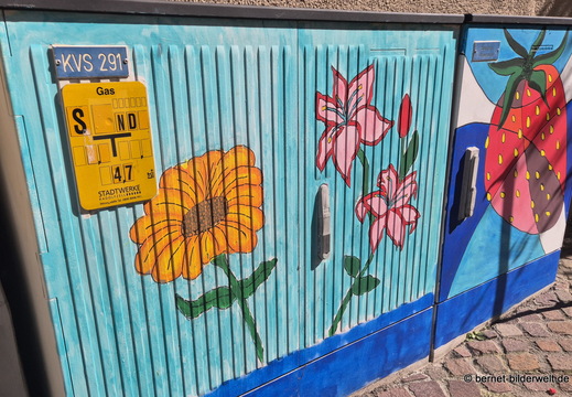 26-09-25-radolfzell-stromkasten-