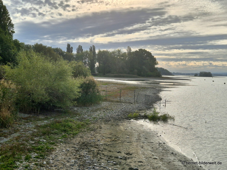 26-09-24-radolfzell-mettnau-niedrigwasser-002.jpg