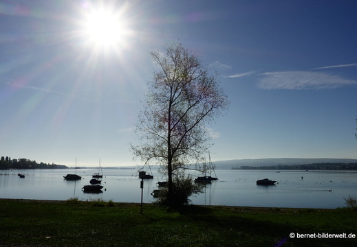 26-09-25-radolfzell-ufer-037